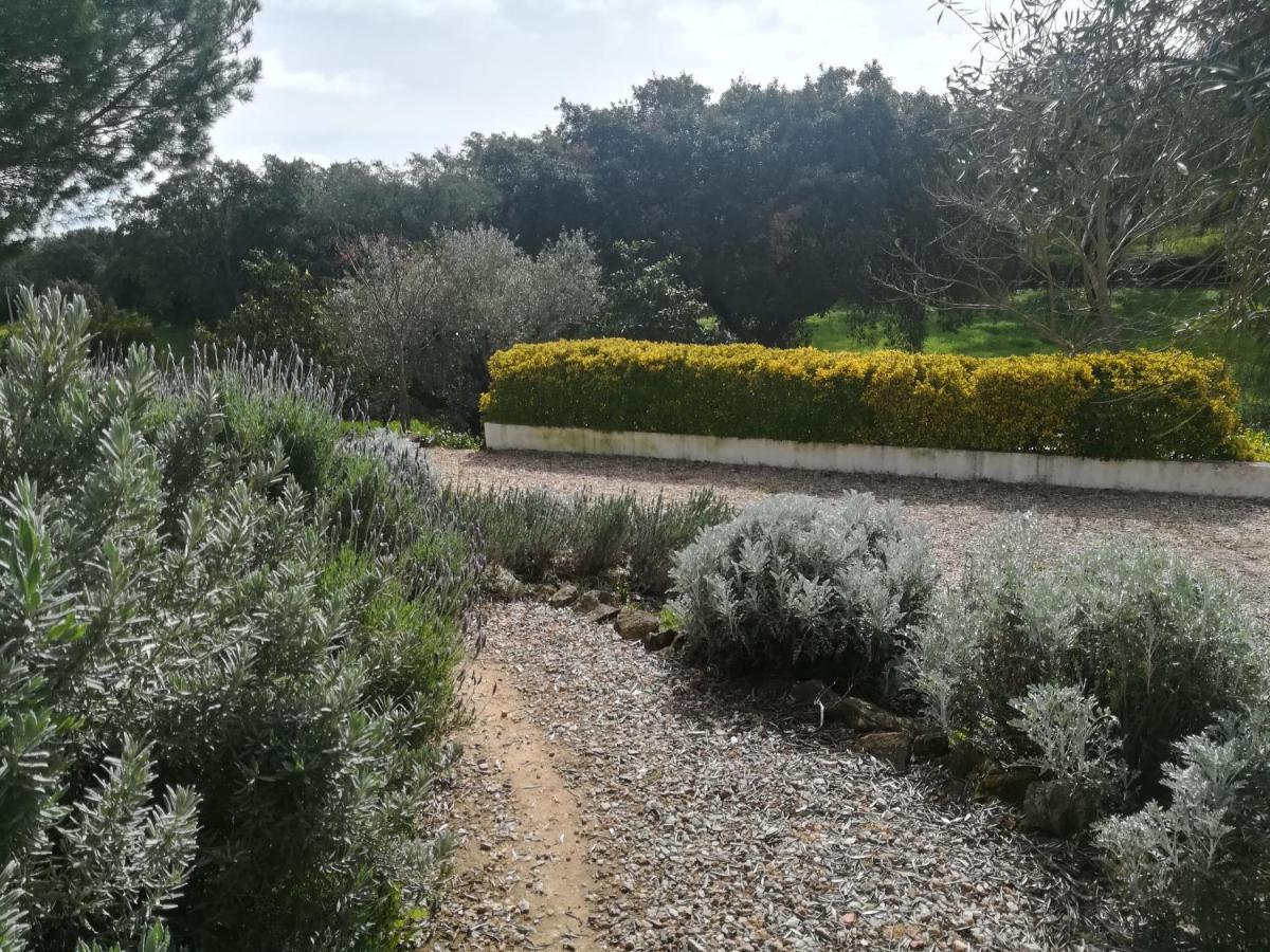 Quinta Do Cano エヴォラ エクステリア 写真