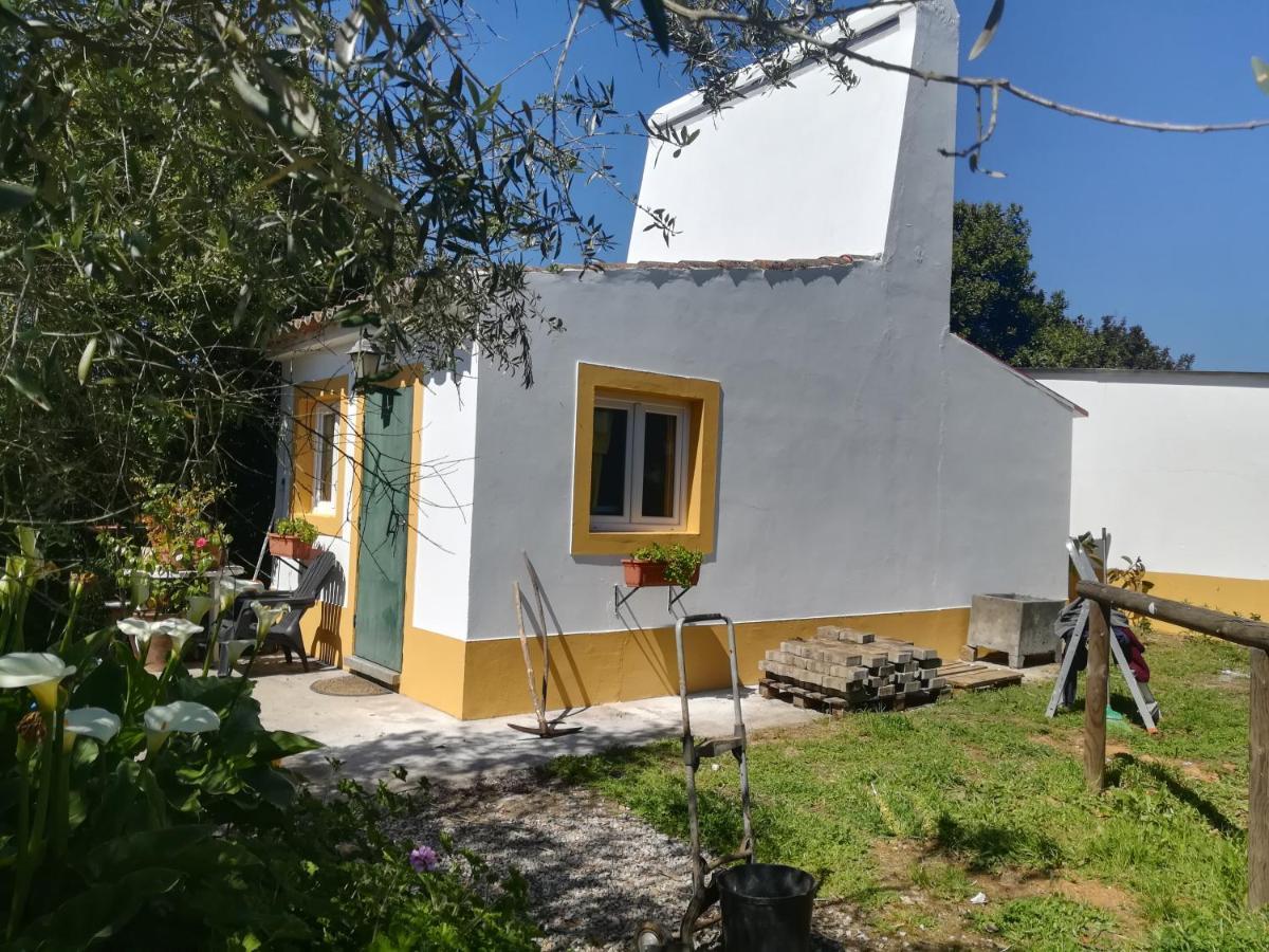 Quinta Do Cano エヴォラ エクステリア 写真