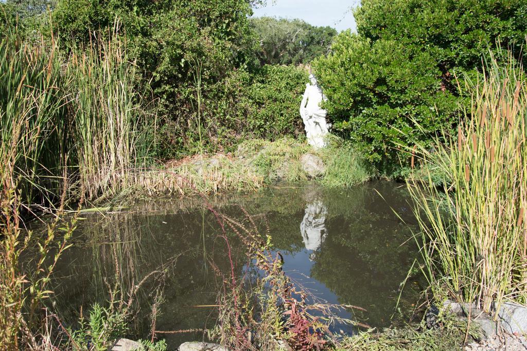Quinta Do Cano エヴォラ エクステリア 写真