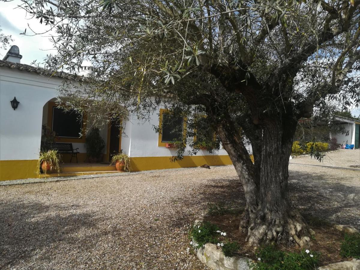 Quinta Do Cano エヴォラ エクステリア 写真